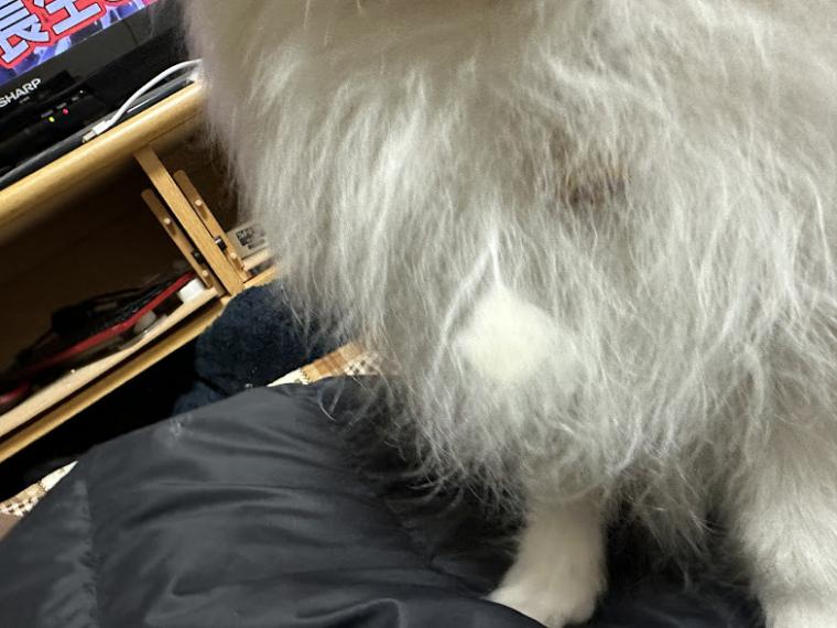 心も体もあたたかな冬