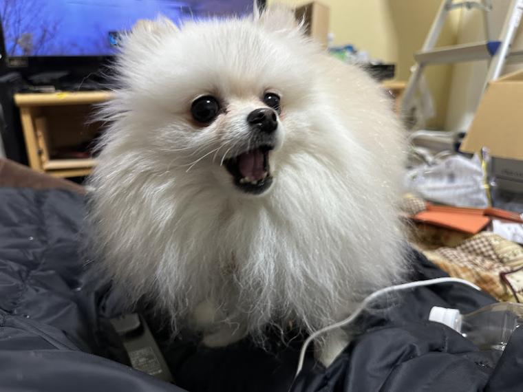 心も体もあたたかな冬