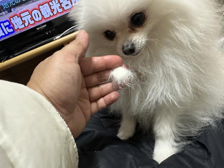 心も体もあたたかな冬