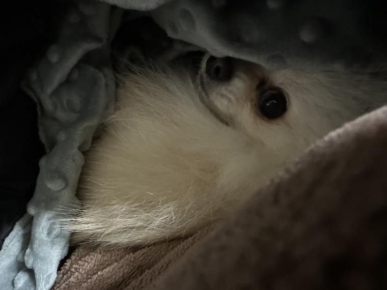 心も体もあたたかな冬