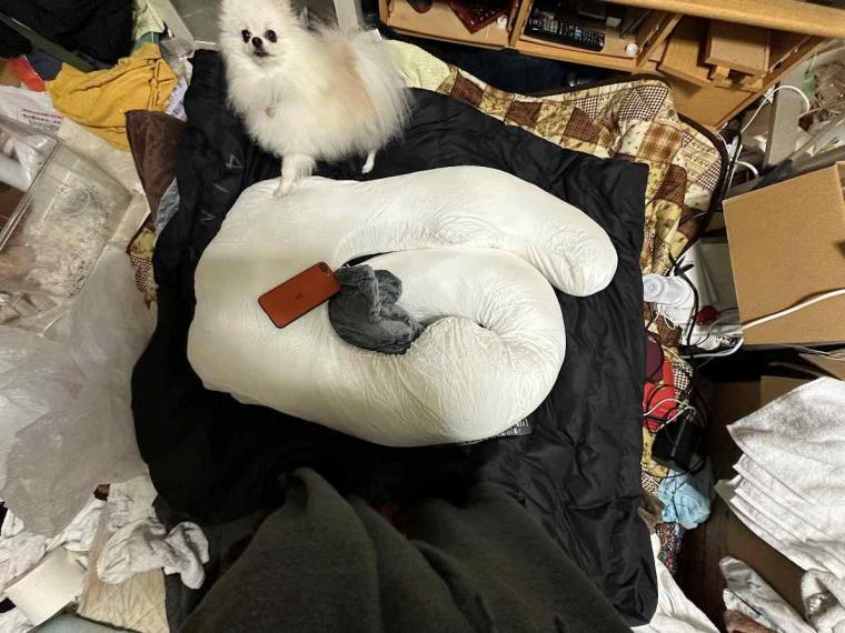 忘れた頃に届いた荷物？