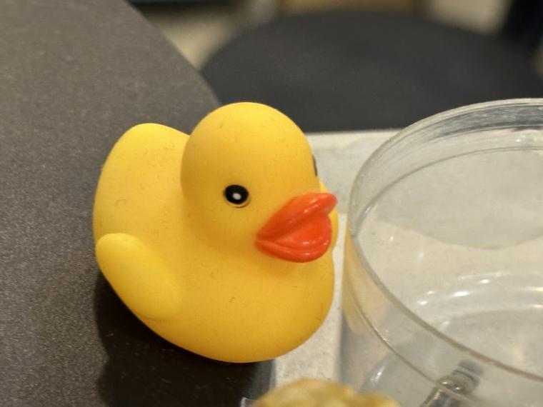 海を越えてご到着