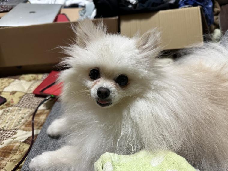 我が家のGW事情