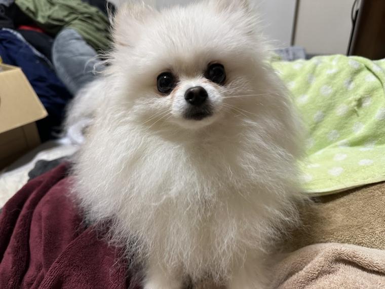 わが家の癒し担当