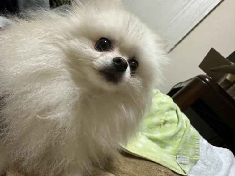 わが家の癒し担当