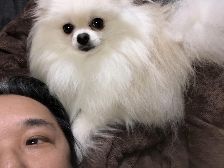 愛犬